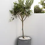 فندق Azure